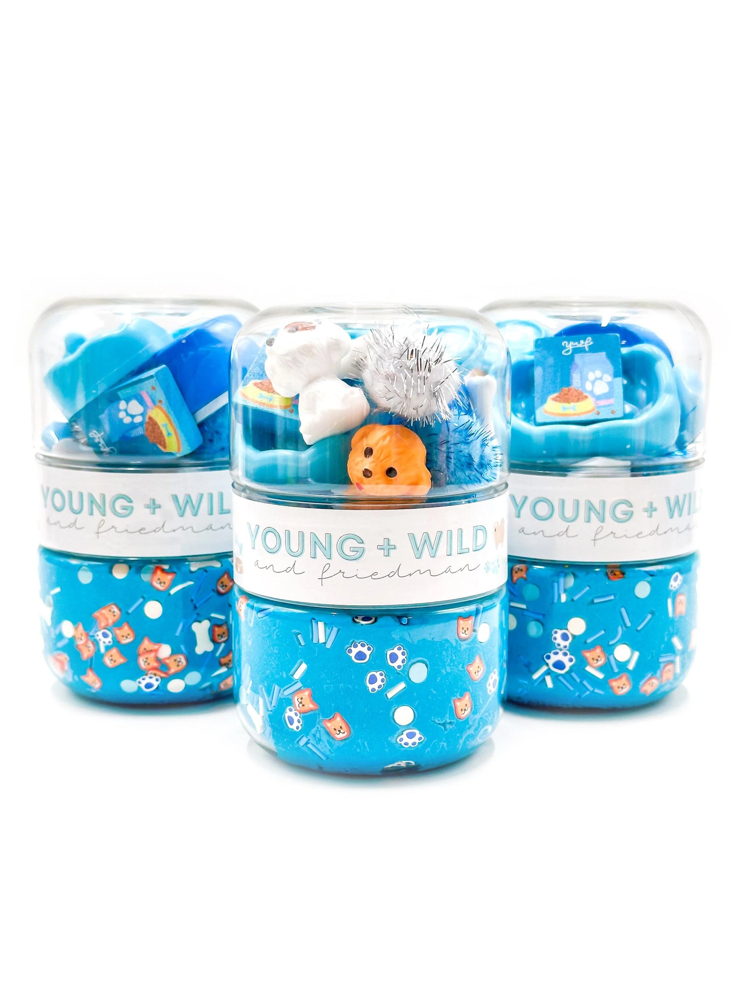 Young, Wild and Friedman Grab and Go Dough Jar--Blue Pet Shop