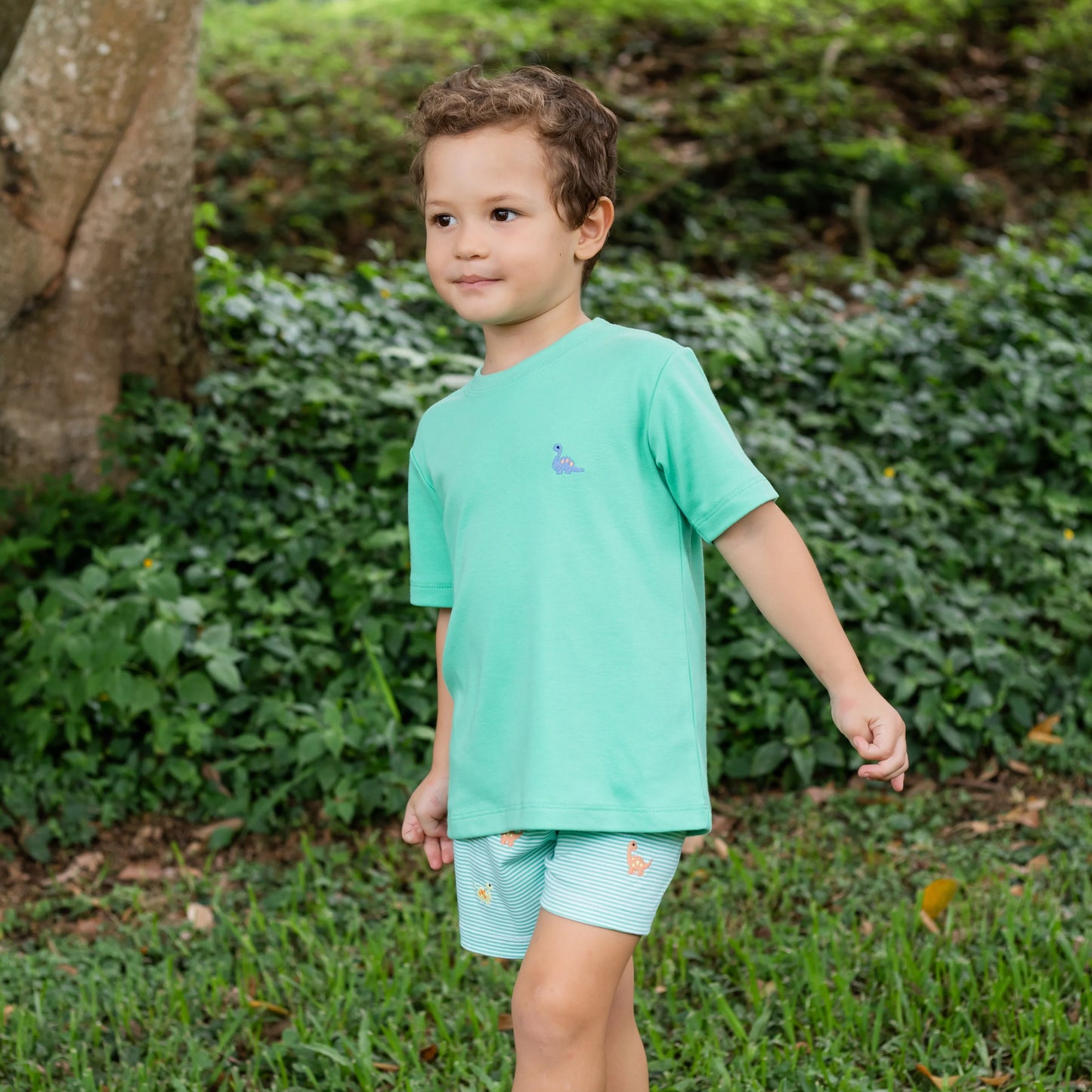 Zuccini Dinosaur Harry's Play Tee, Covington Green Knit