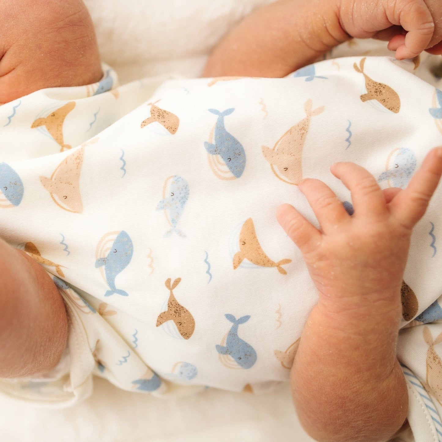 Magnolia Baby Whale Tales Lap Bodysuit - Ivory