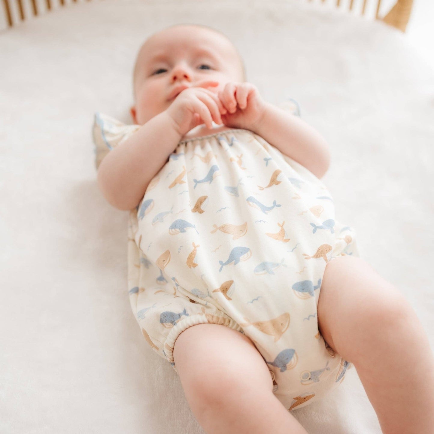 Magnolia Baby Whale Tales Flutters Bubble - Ivory
