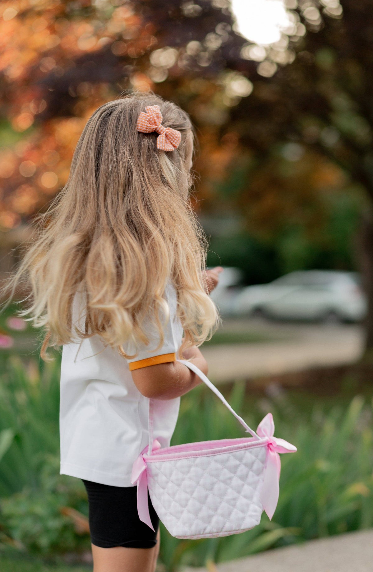 Bits and Bows Petite Pumpkin Tote