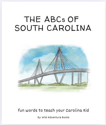 Sc Abc New Arrivals – Oak and Ivy Children's Boutique