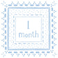 Proper Peony Milestone Cards--Blue