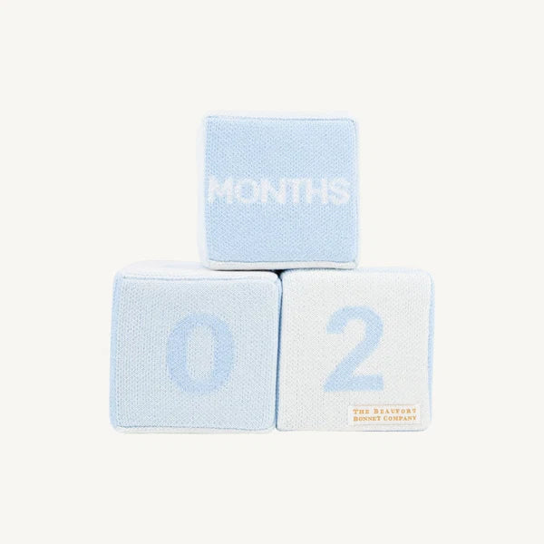 Beaufort Bonnet Blaylock Blocks--Buckhead Blue