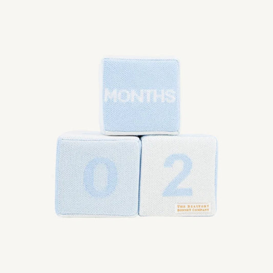 Beaufort Bonnet Blaylock Blocks--Buckhead Blue