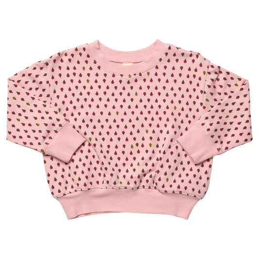 Coop by Pink Chicken play sweatshirt - mini ladybugs