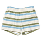 Coop by Pink Chicken sandbox short - green and blue stripe