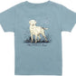 Properly Tied Boys Labrador Short Sleeved Steel Blue T-Shirt
