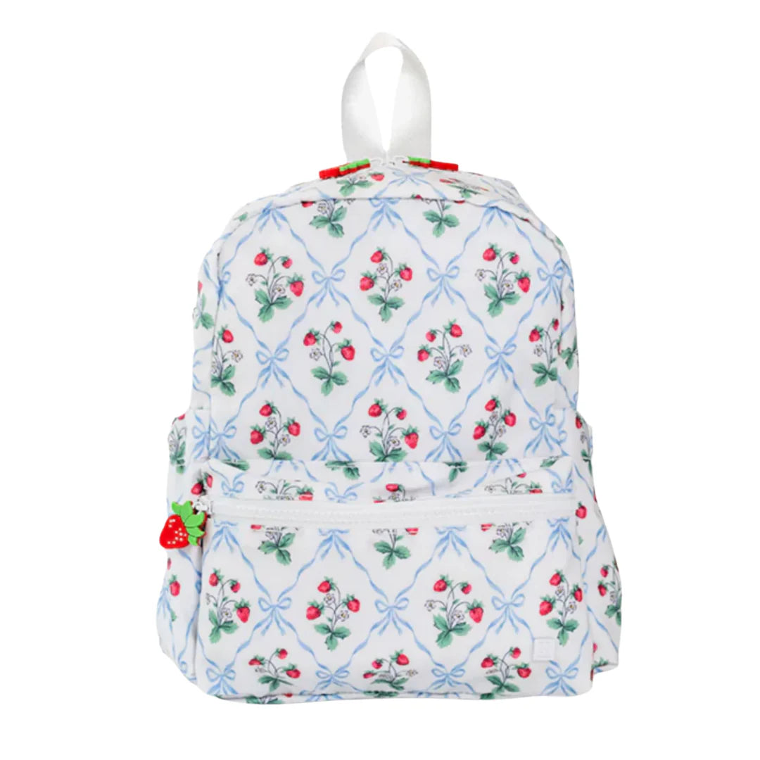 TRVL Design Mini Backer--Berry Nice